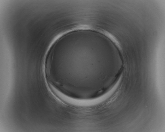 X0000110991334200906261442