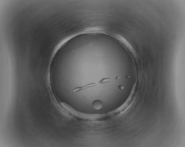X0000110991336200906261442
