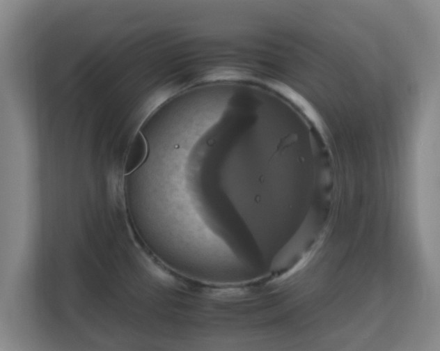 X0000110991337200906261442