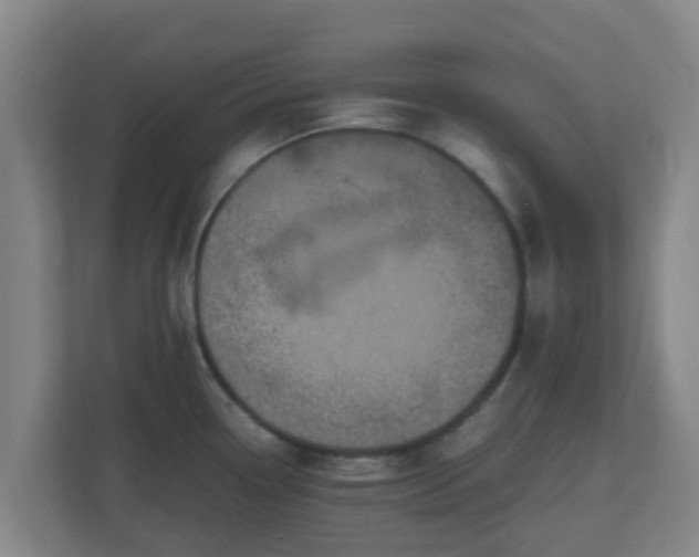 X0000110991338200906261442