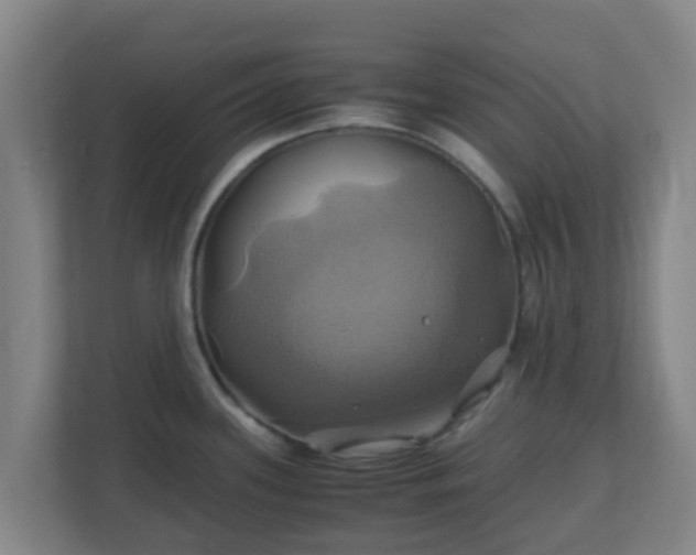X0000110991339200906261442