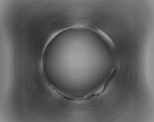 X0000110991340200906261442