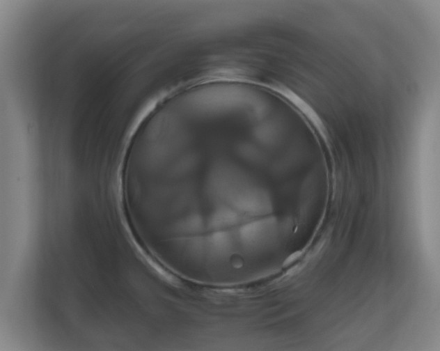 X0000110991341200906261442