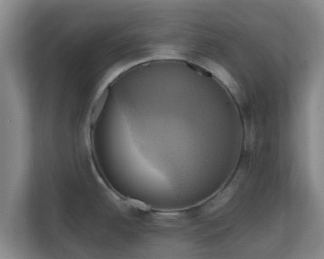 X0000110991342200906261442