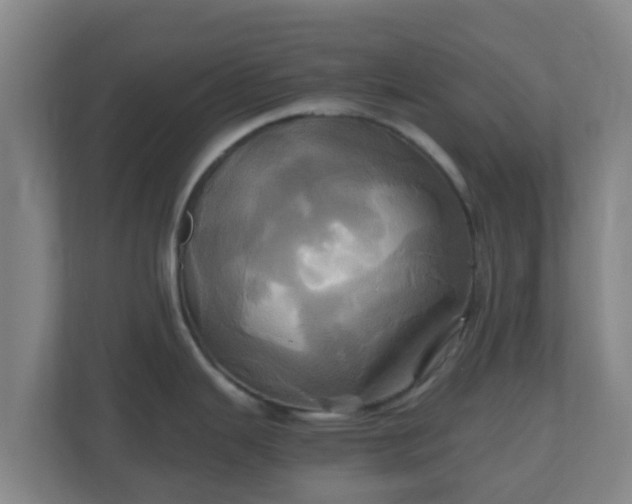 X0000110991343200906261442