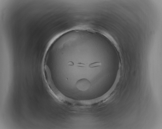 X0000110991344200906261442
