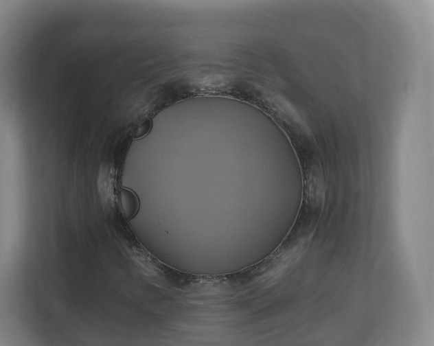 X0000110991346200906261441