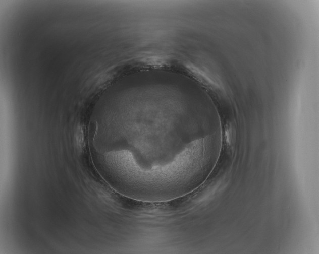 X0000110991347200906261441