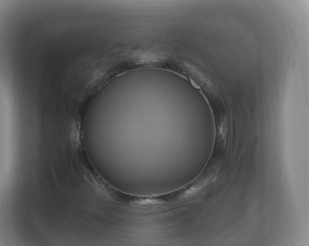 X0000110991348200906261441