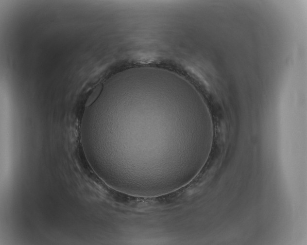 X0000110991349200906261441