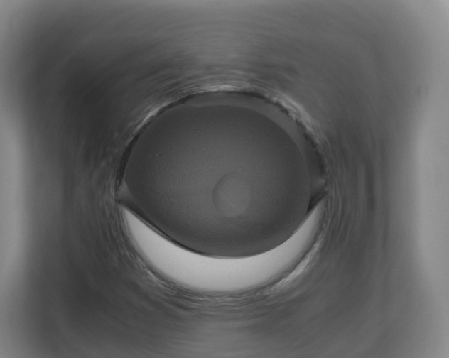 X0000110991353200906261441