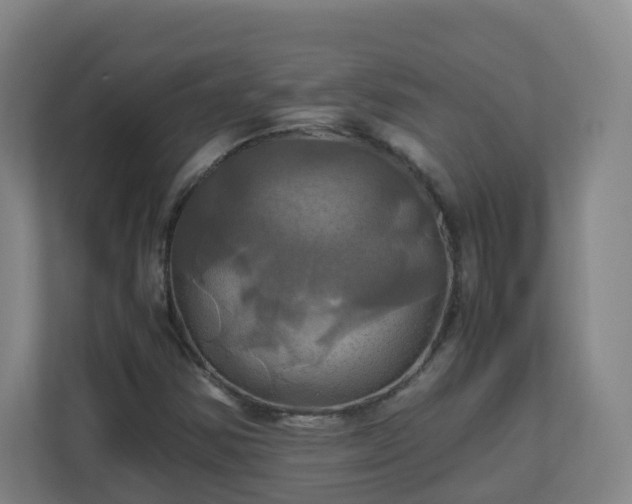 X0000110991354200906261441