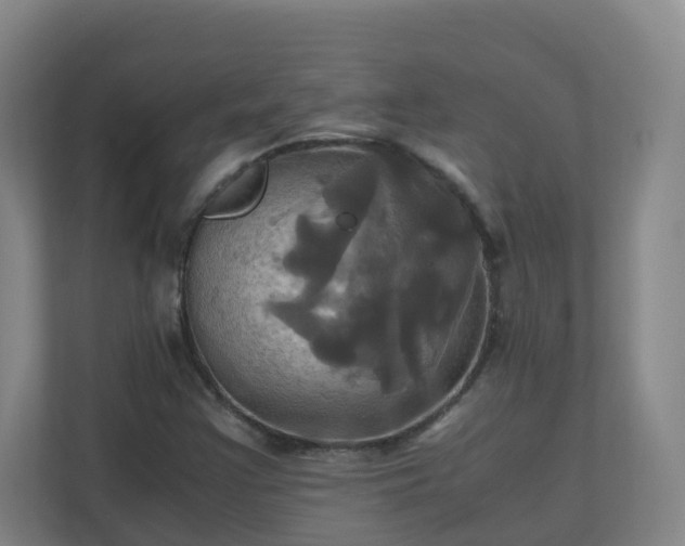 X0000110991355200906261441