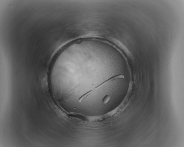 X0000110991356200906261441