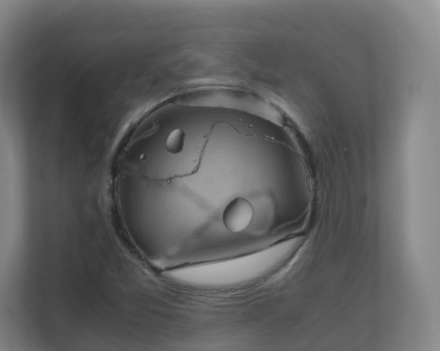 X0000110991357200906261441