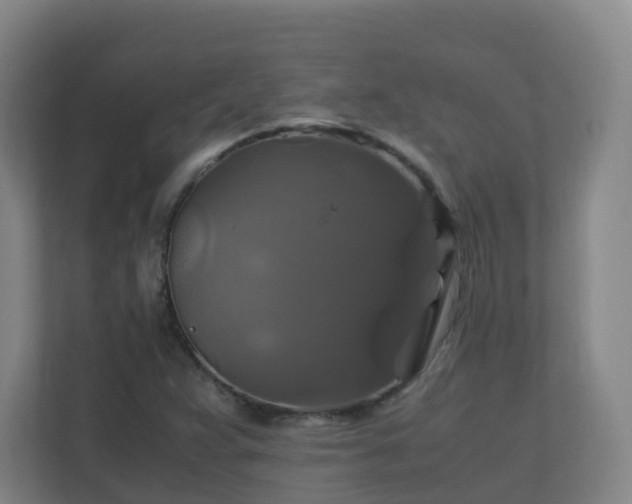 X0000110991359200906261441