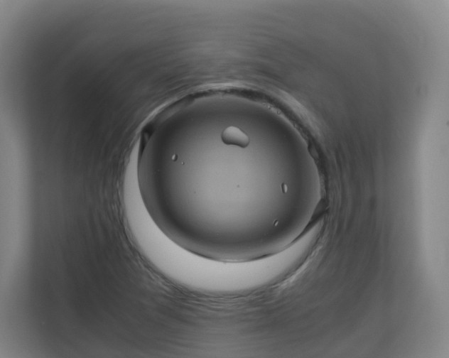 X0000110991361200906261441