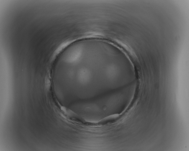 X0000110991363200906261441