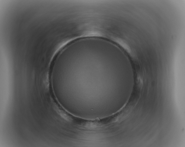 X0000110991364200906261441