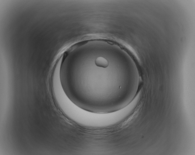 X0000110991365200906261441