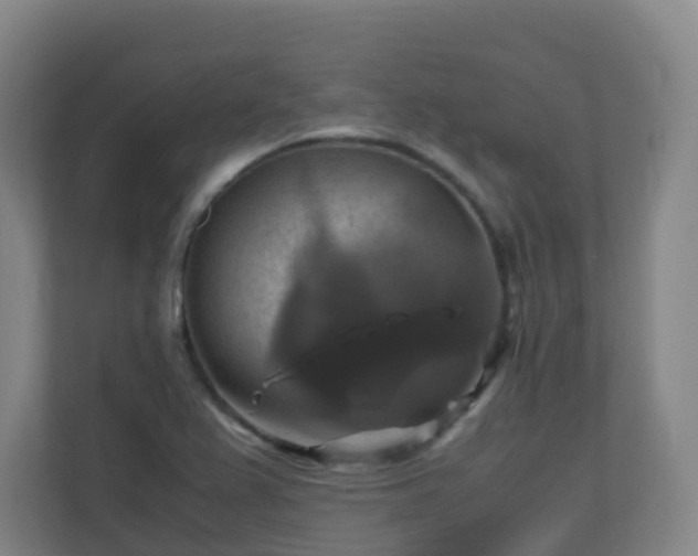 X0000110991367200906261441