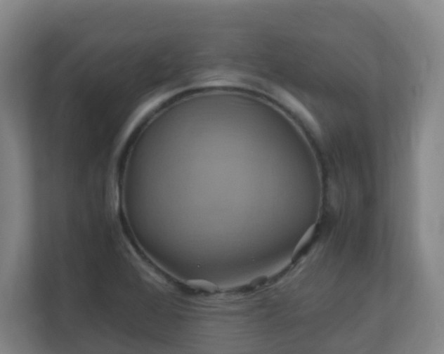 X0000110991368200906261441