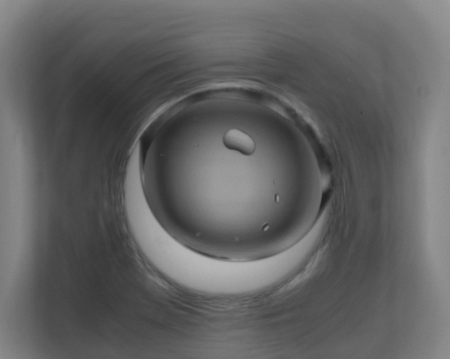 X0000110991369200906261441
