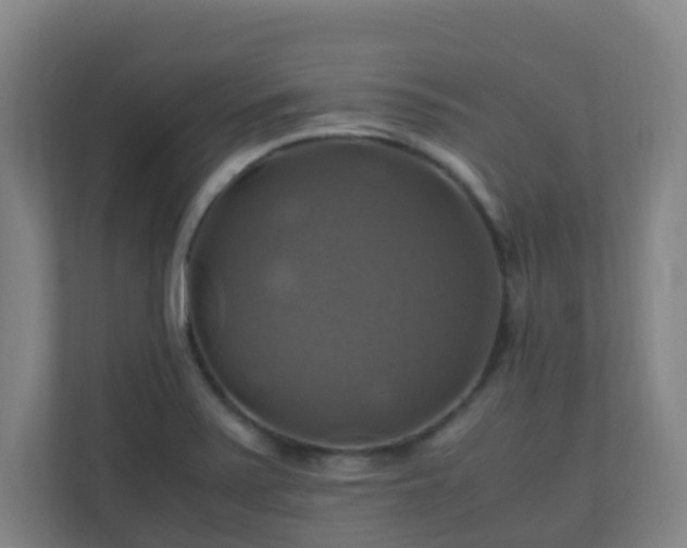 X0000110991371200906261441