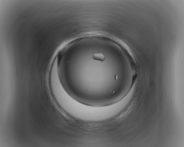 X0000110991373200906261441