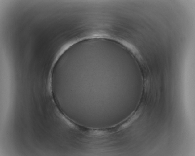 X0000110991374200906261441