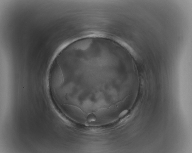 X0000110991375200906261441