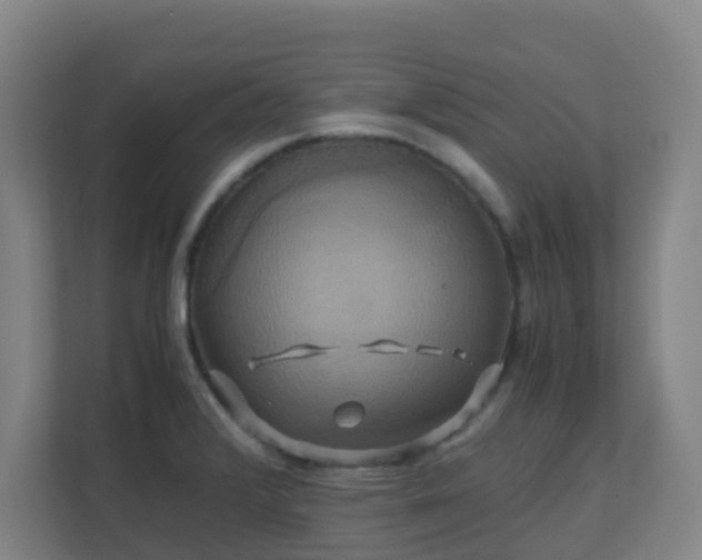X0000110991376200906261441