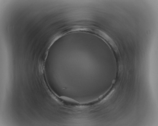 X0000110991377200906261441
