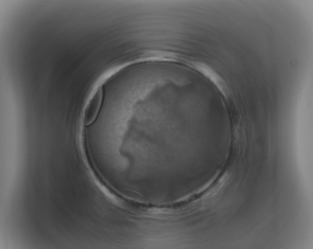 X0000110991379200906261441
