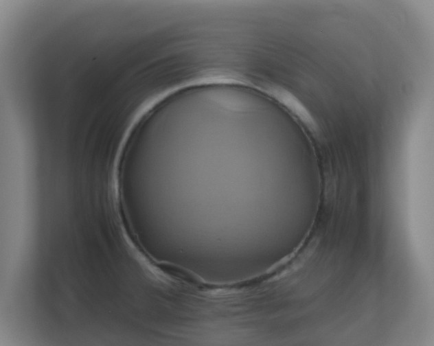 X0000110991380200906261441