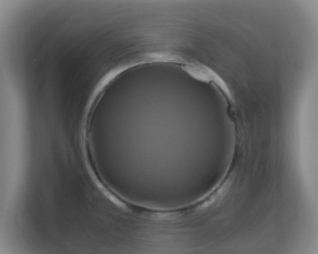X0000110991381200906261441