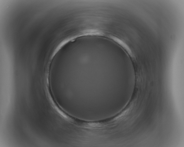 X0000110991383200906261441