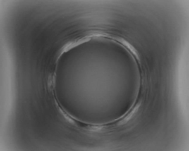 X0000110991385200906261441