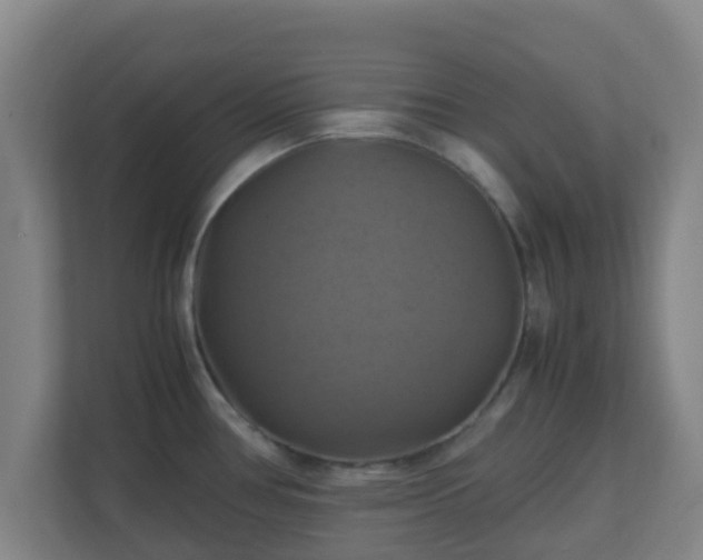 X0000110991386200906261441