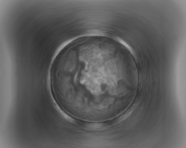 X0000110991387200906261441