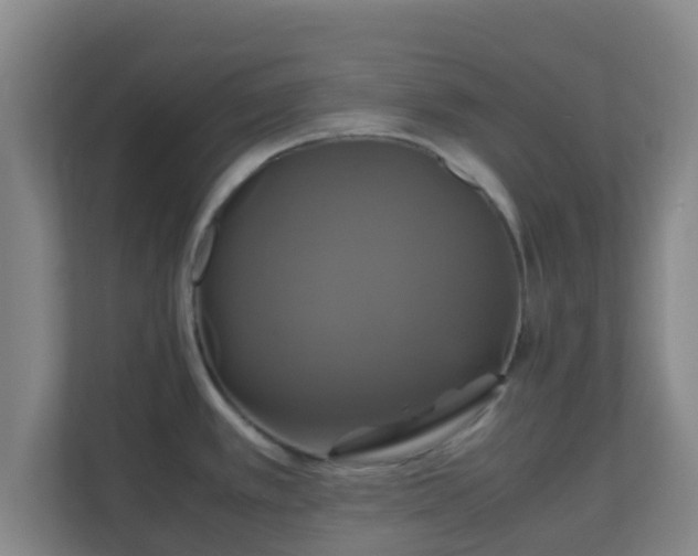 X0000110991389200906261441