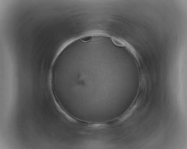 X0000110991390200906261441
