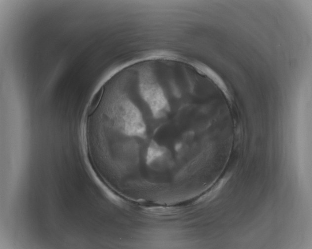 X0000110991391200906261441