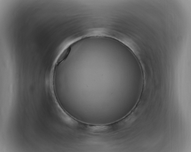 X0000110991392200906261441