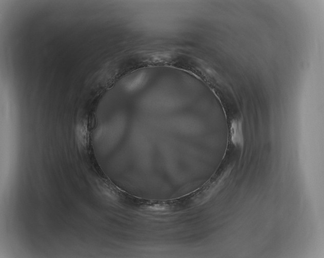 X0000110991395200906261440