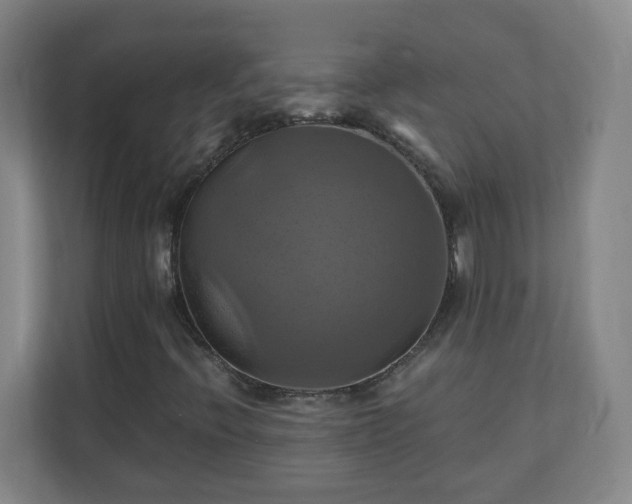 X0000110991396200906261440