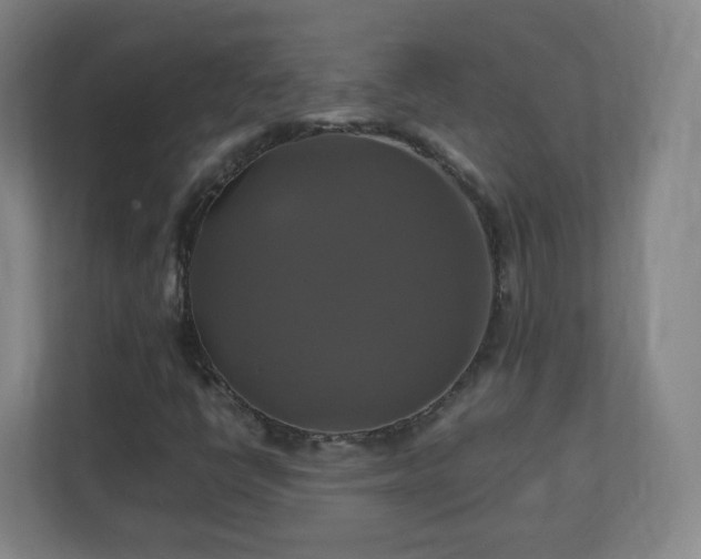 X0000110991398200906261440