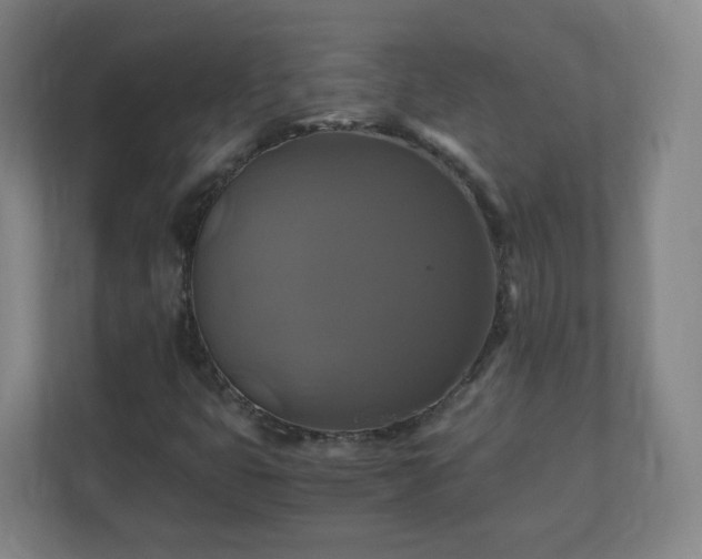 X0000110991399200906261440