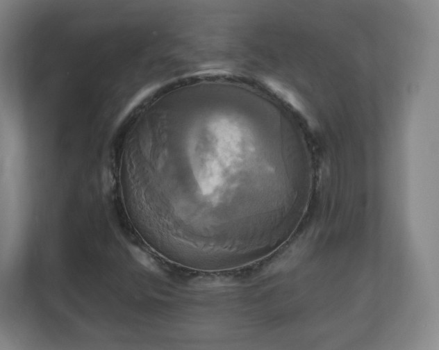 X0000110991400200906261440