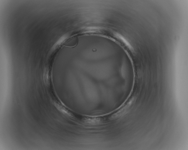 X0000110991403200906261440